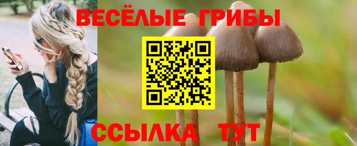 Галлюциногенные грибы ЛСД Боровичи
