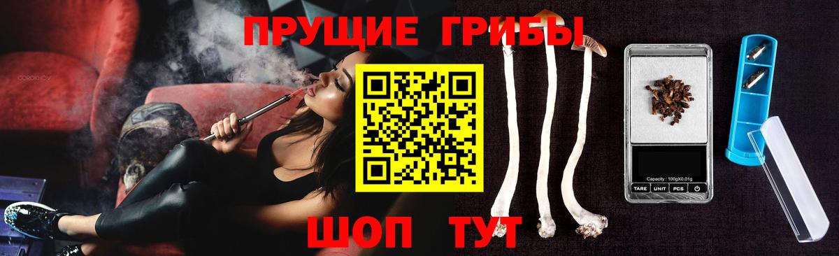 Боровичи  Галлюциногенные грибы Psilocybine cubensis  Галлюциногенные грибы Psilocybe  Вход с VPN 